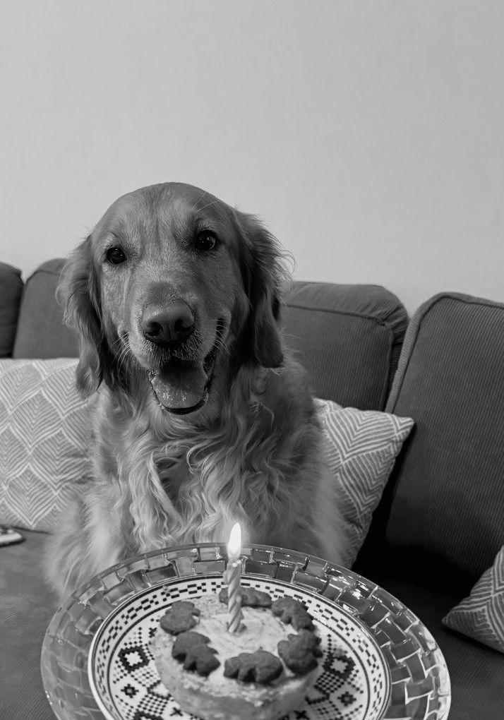 Zoey, Chief Happiness Officer